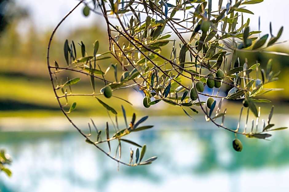 PALMENGARTEN Hotel Gstör