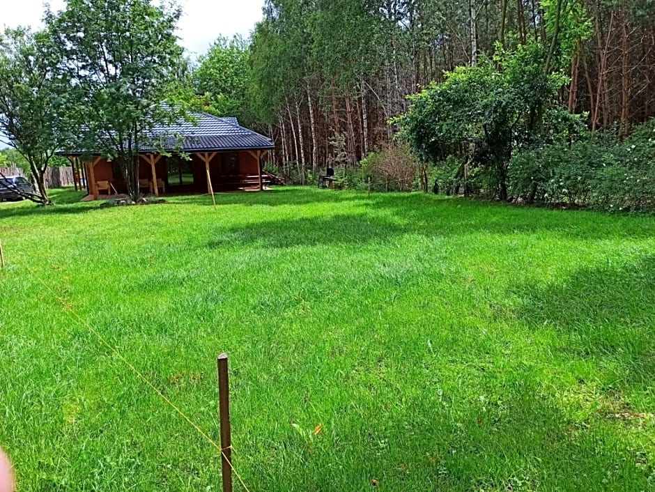 Dom imprezowy z noclegami Dziecinów