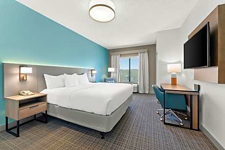 King Suite with Roll-In Shower - Accessible/Non-Smoking