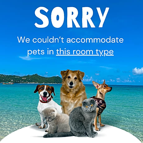 Standard Room for 3 People