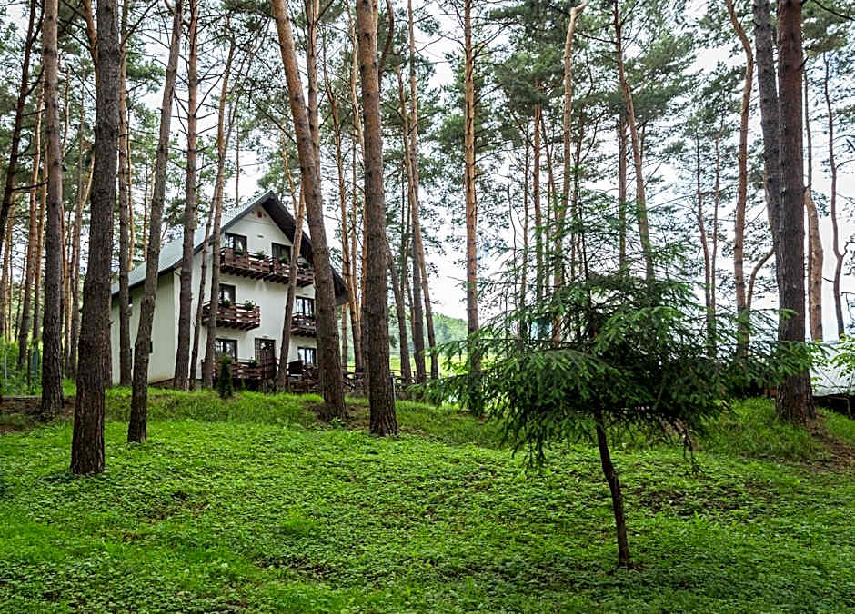 Complex Parc Pini Moinesti