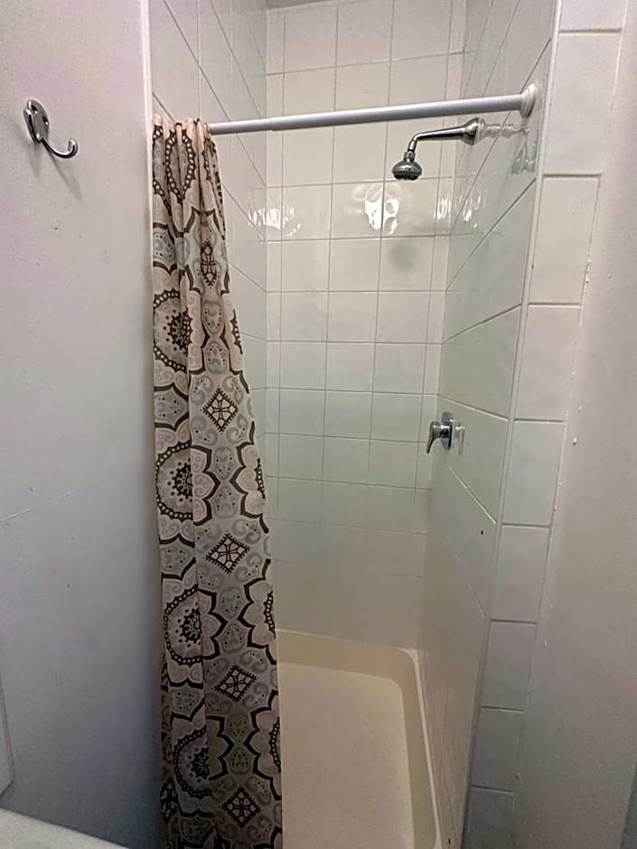 The Grapevine Hostel