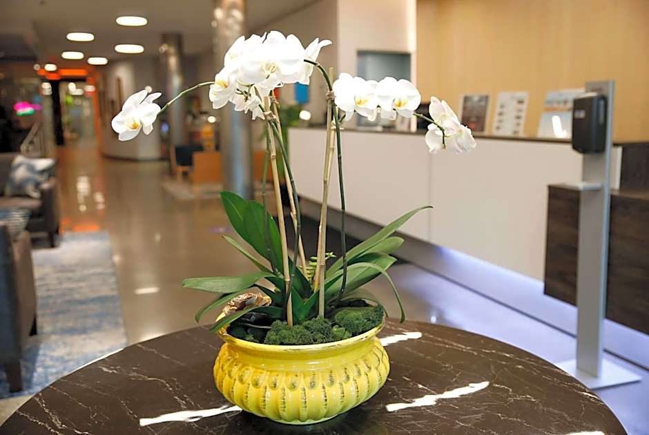 Wingate by Wyndham Bronx/Haven Park