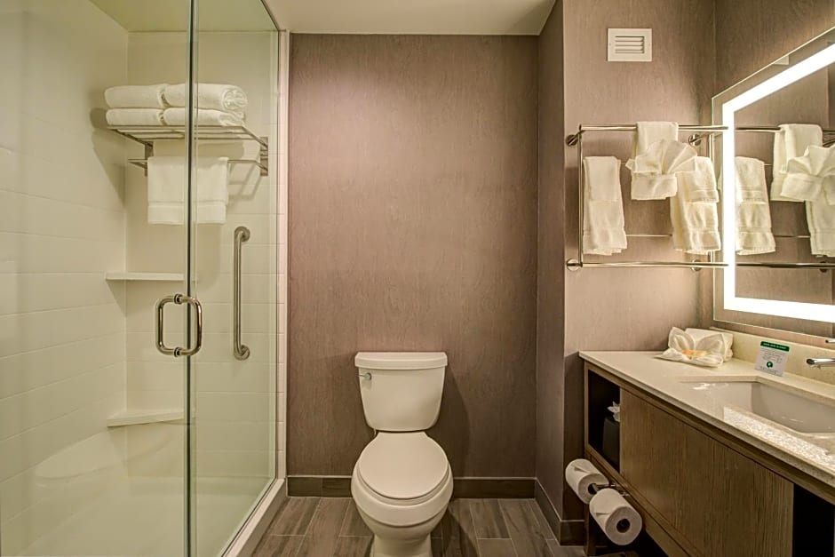 Holiday Inn Hotel & Suites Houston West - Katy Mills By IHG