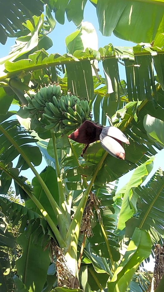 casa di campagna dal pozzo