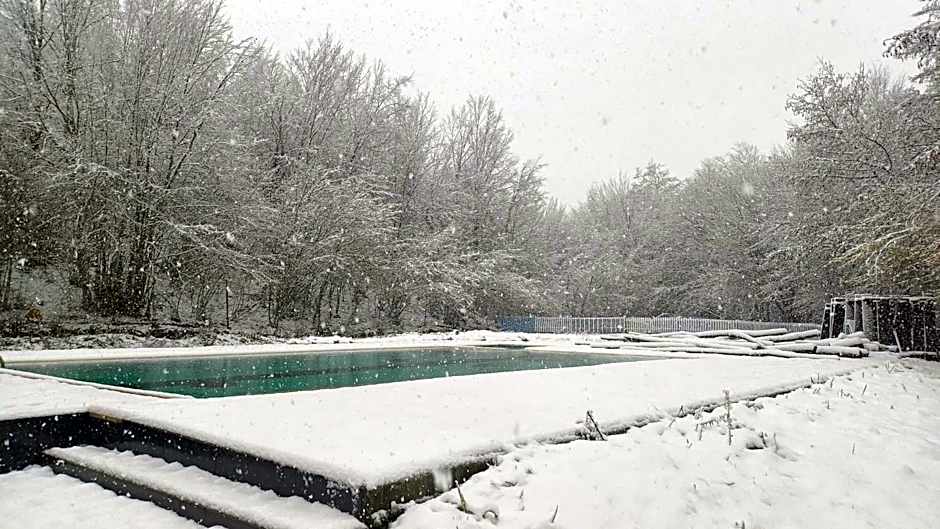 Butterfly Butik Hotel