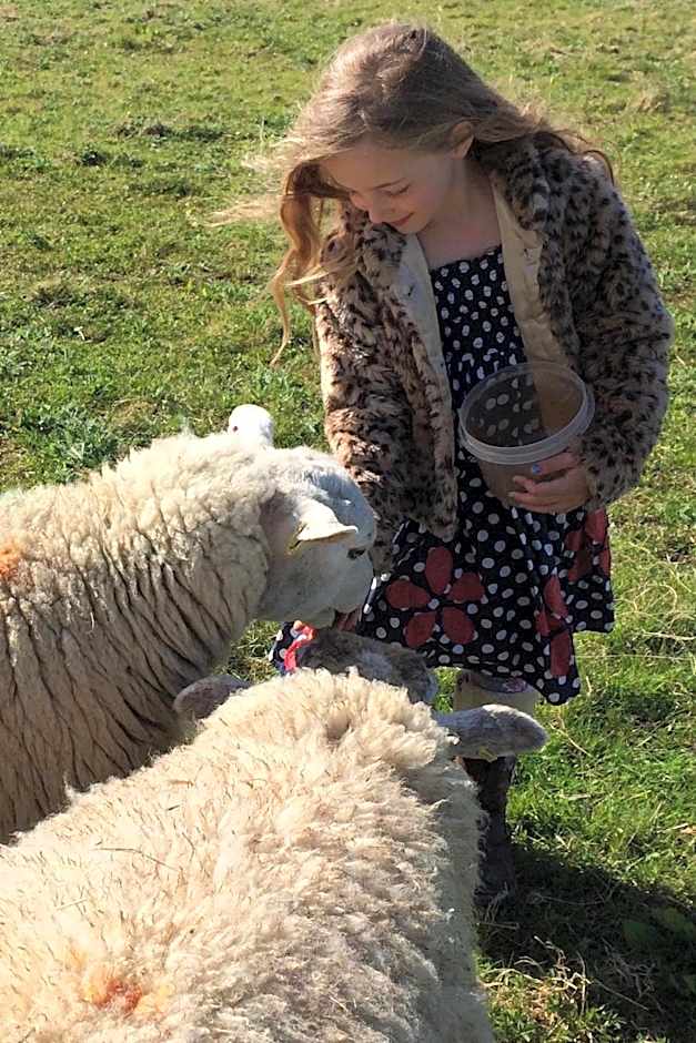 Luxurious Rural Cabin with Hot Tub