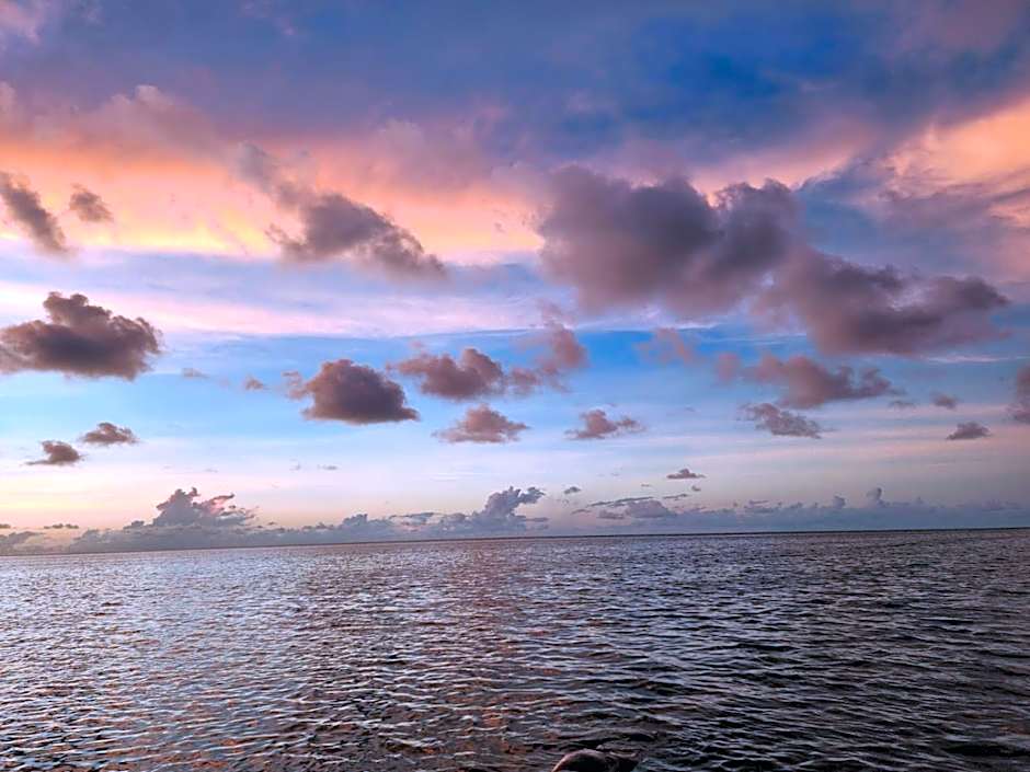 Experiencia Casa Blanca