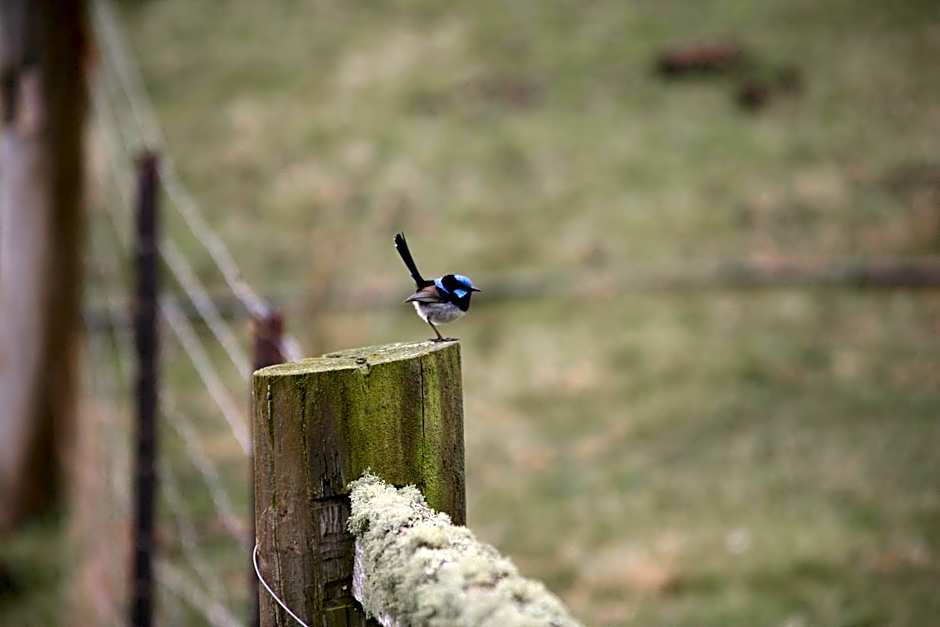 Silver Ridge Retreat