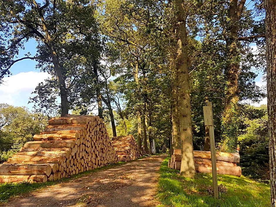 lodge 61 hotel aan het water