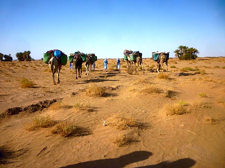 Nomads Life Style
