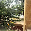 Family Hotel Paros