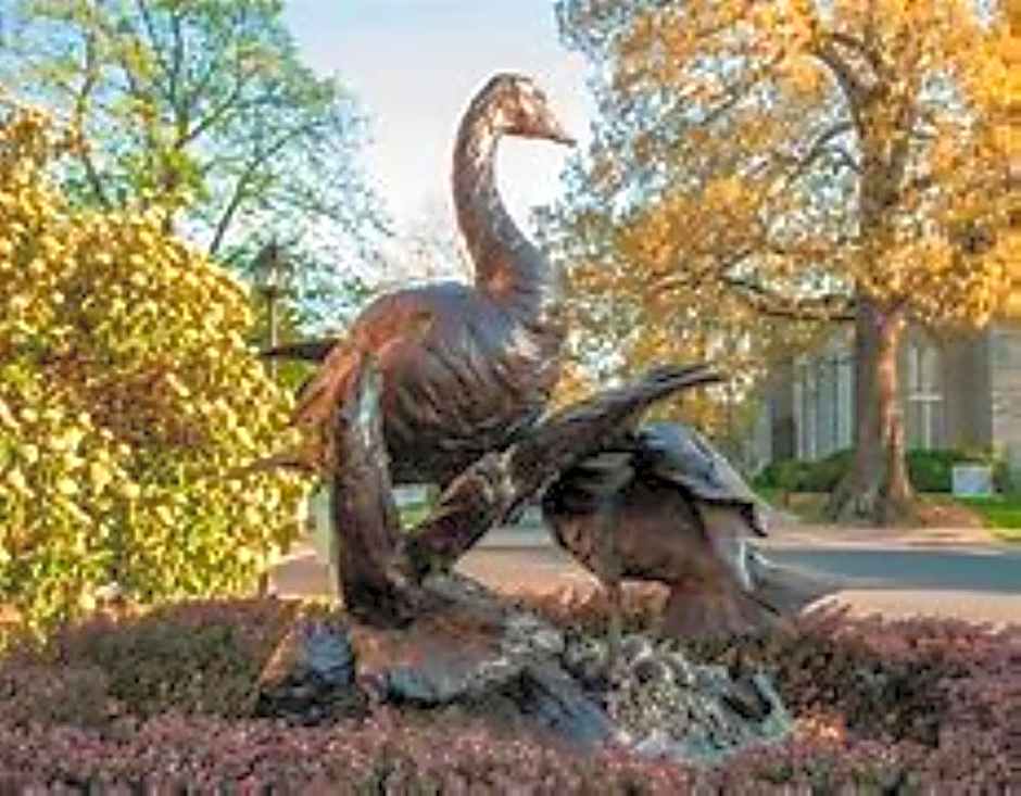 Comfort Inn & Suites Cambridge