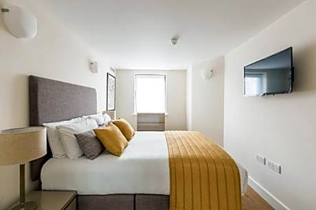 Deluxe One-Bedroom Apartment