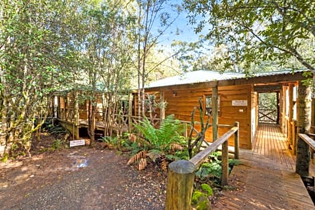 Cradle forest inn