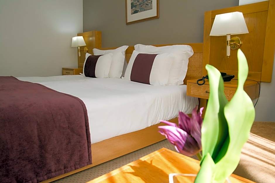 Hotel Rainha D. Amélia, Arts & Leisure