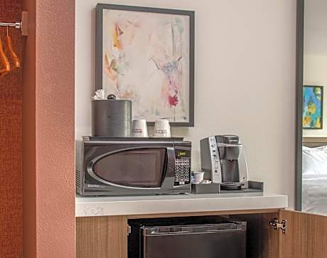 1 King Mobility Accessible W/Roll In Shower