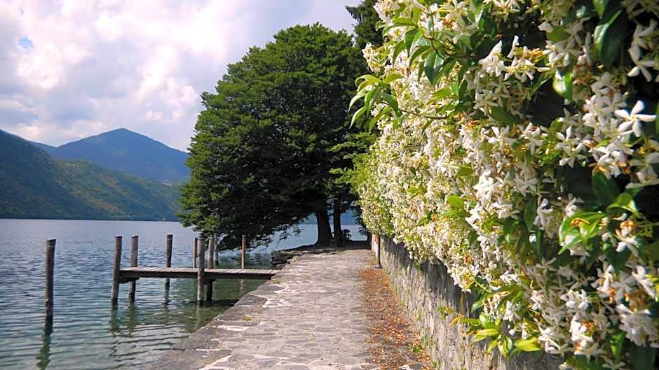 Il Nido del Pettirosso