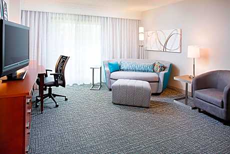 1 Bedroom Suite, 1 King, Sofa bed, Balcony