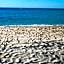 Beach Apartment at Condo-hotel