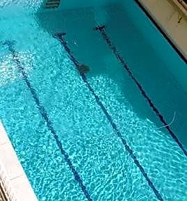 Hospedium Hotel Restaurant Trav