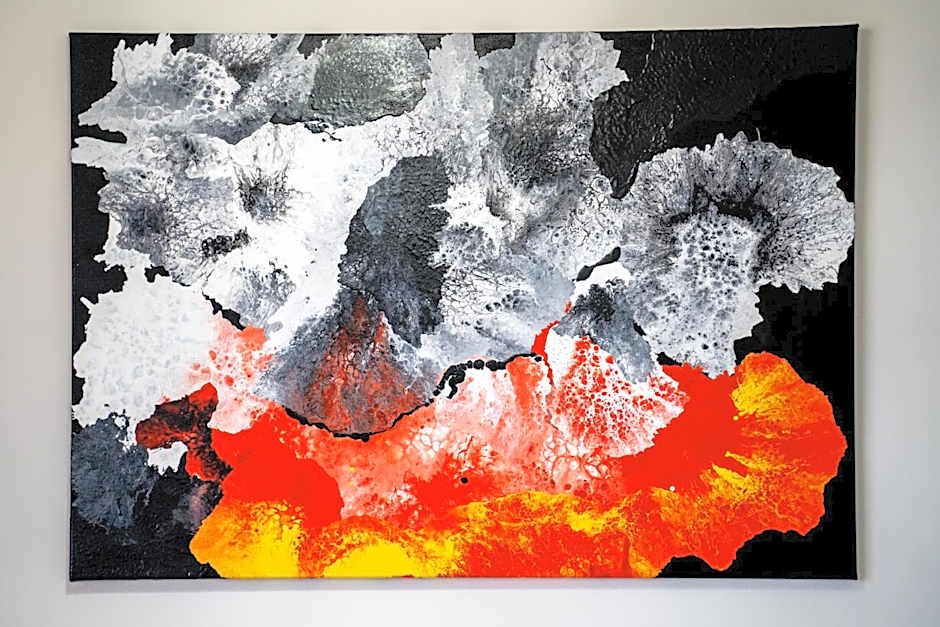 WOW studios for rent - bul Montevideo 25A - B