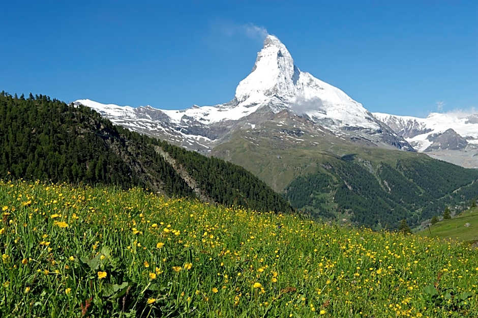 Hotel Garni Testa Grigia