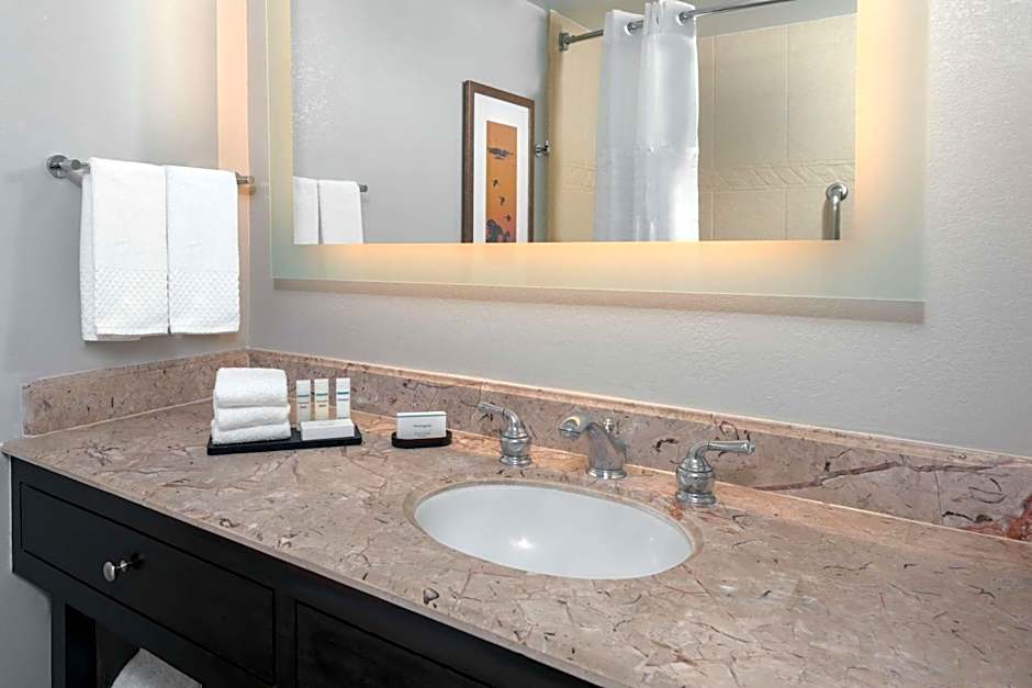 Embassy Suites By Hilton Hotel Dallas - Park Central Area