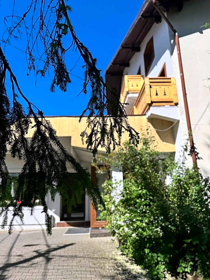 Chalet Minut