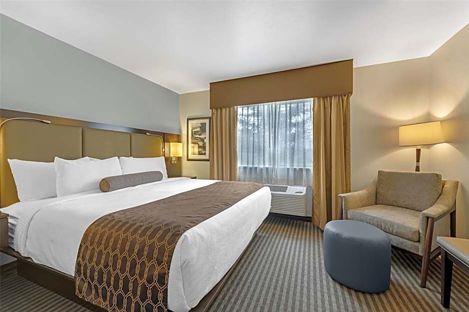 Best Western Vista Inn