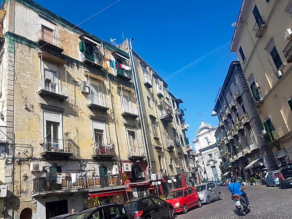 B&B Belvedere Partenopeo