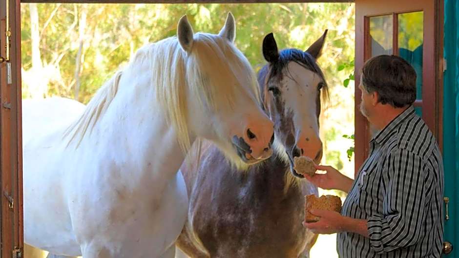 Hatchers Richmond Manor