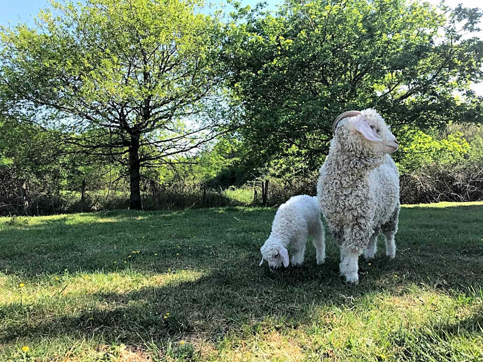 La Ferme de la Maugerie