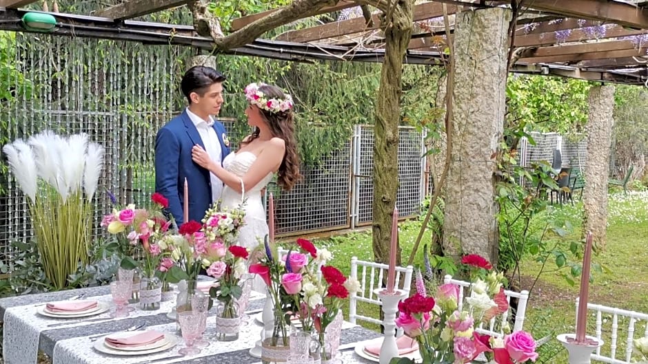 Villa Sofia luxury home between Como and MIlano