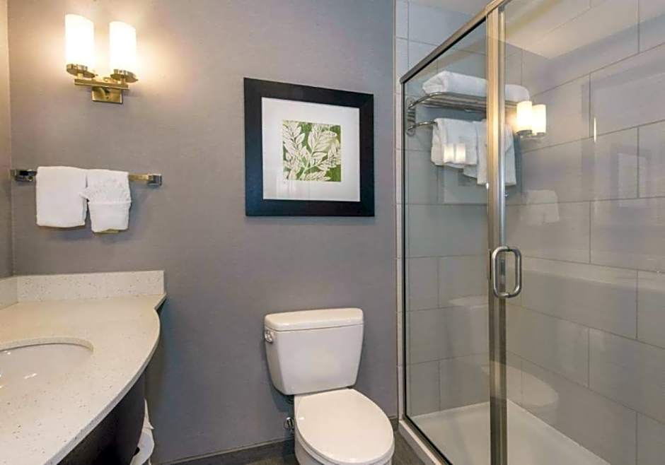 Hilton Garden Inn Raleigh Cary