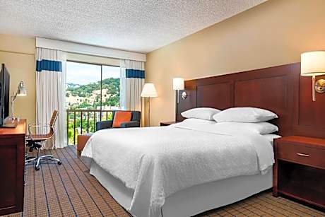 King Room with Adapted Tub - Mobility Accessible