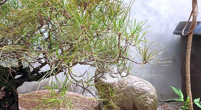 Gaeunchae Hanok Guesthouse Jeonju