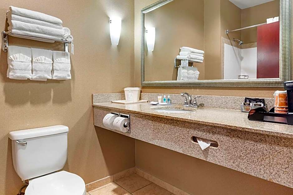 Comfort Suites Palestine