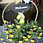 Landhotel Henkenhof Willingen