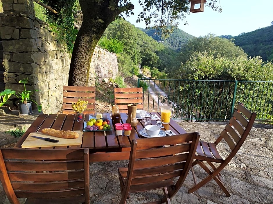 Chambre Cévennes: Piscine, lamas, rivière