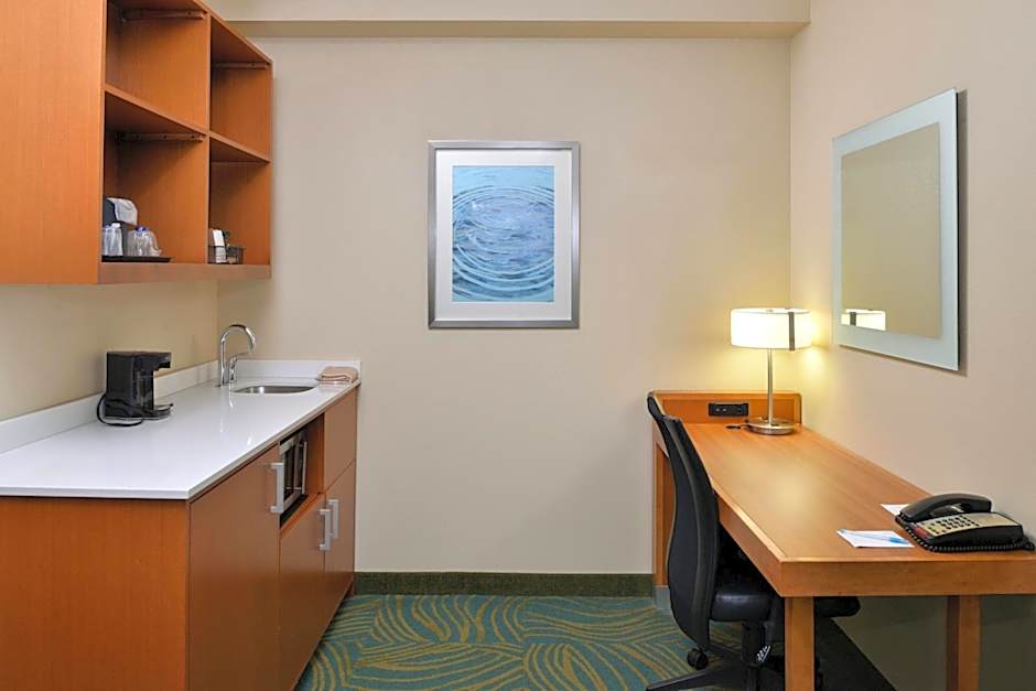 SpringHill Suites by Marriott Charleston Downtown/Riverview