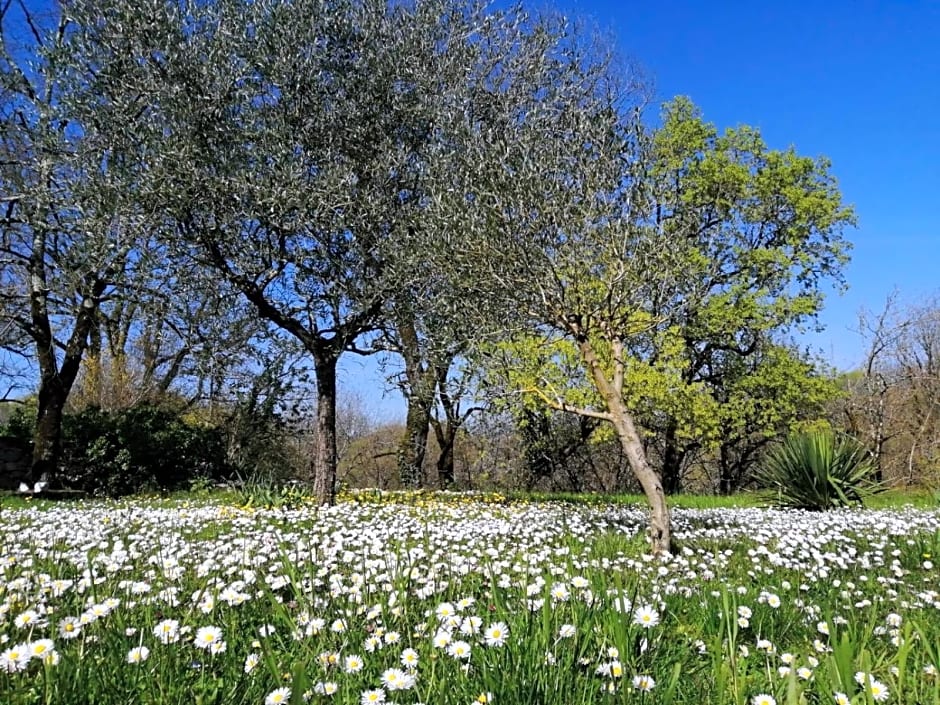 Domaine de Séguéla