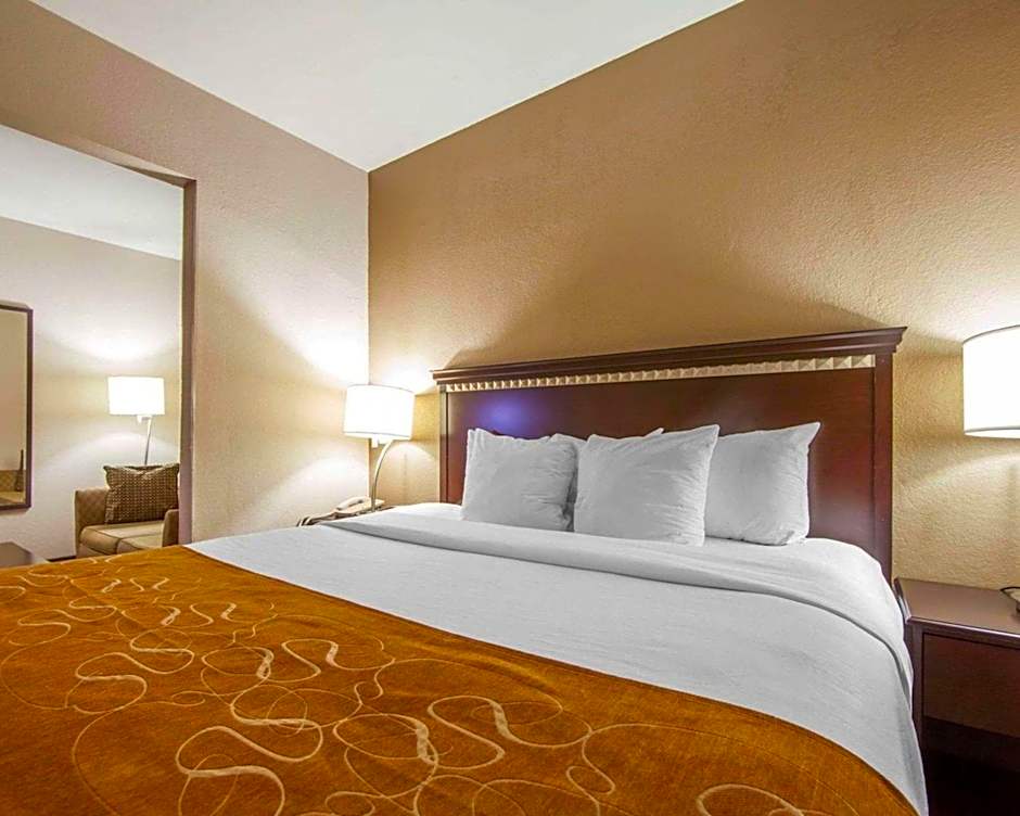 Comfort Suites London South