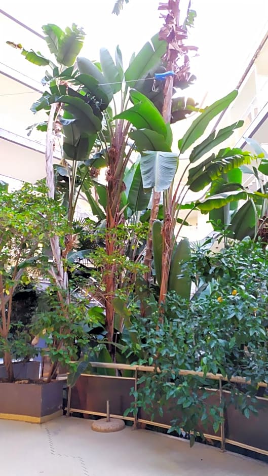 Casa Felicidad Alguer