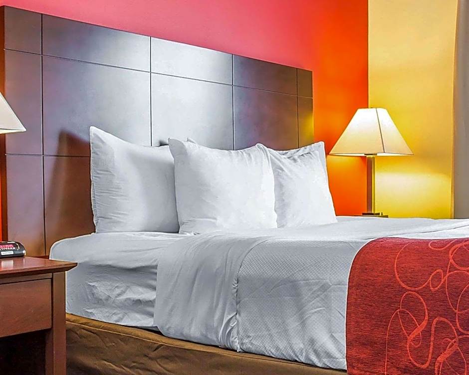 Comfort Suites Rock Hill Manchester Meadows Area