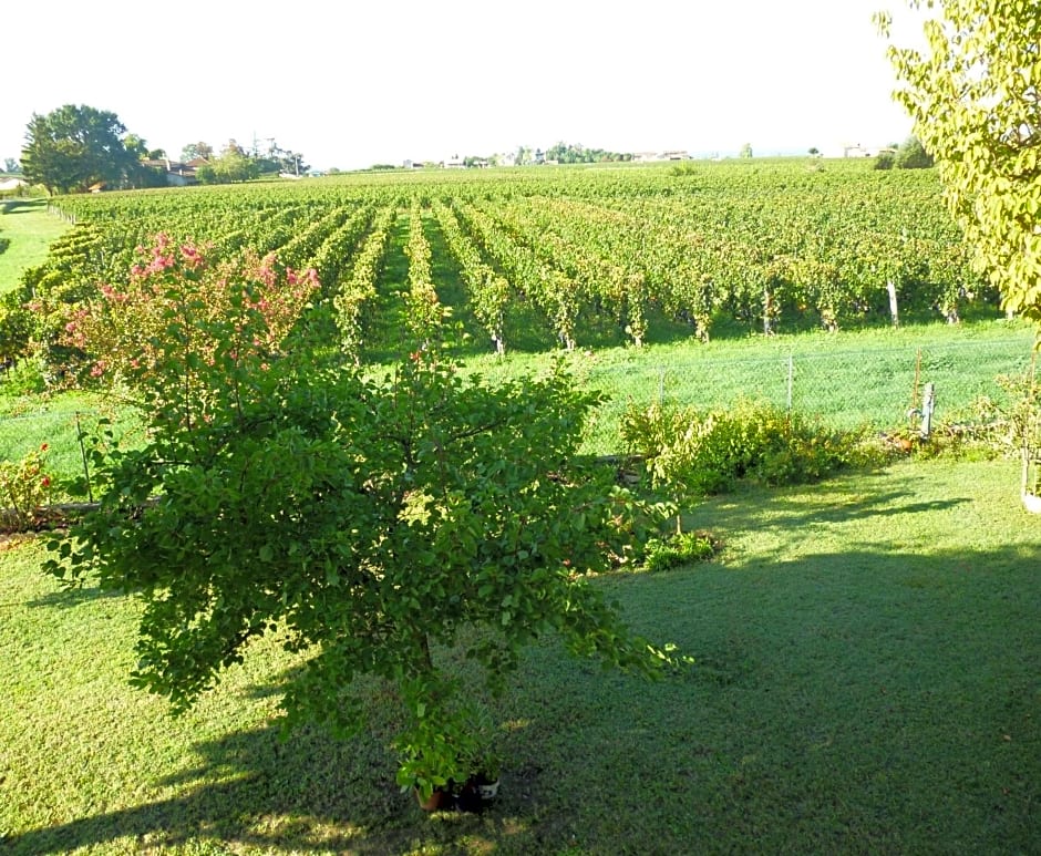 Le Clos Des Rosiers – Saint-Émilion, FL