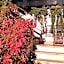 Hotel Ristorante Sole
