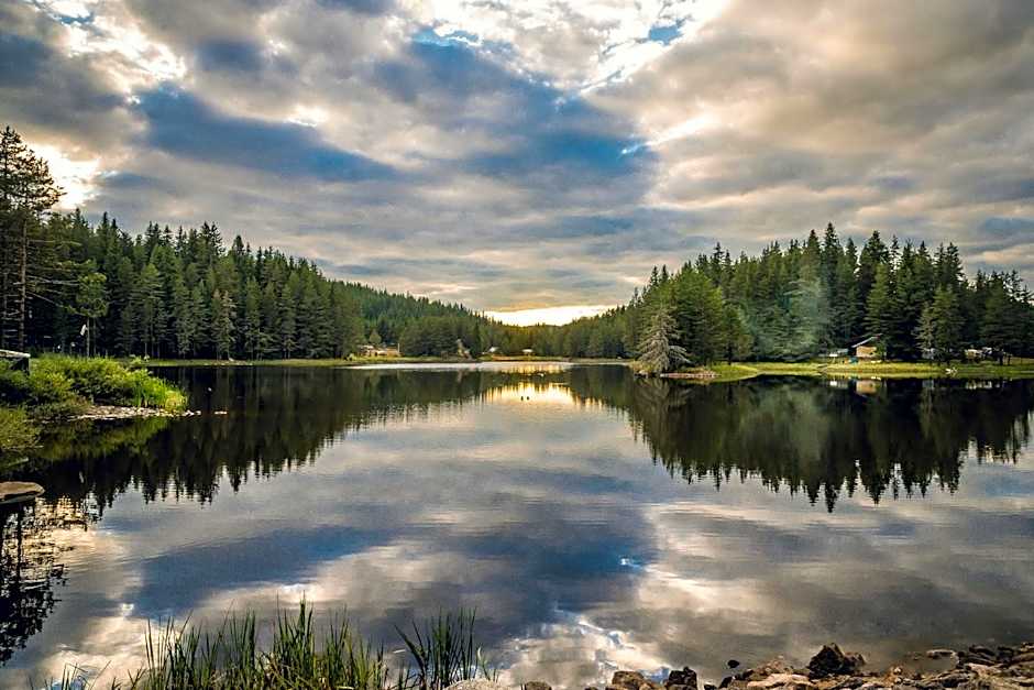 Romantica Forest Guest House