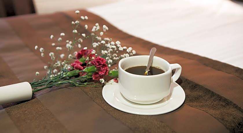 Delta Hotel Istanbul