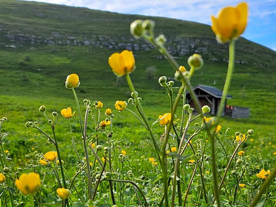 Picasso Chambre Privée Le Refuge Du Phoenix